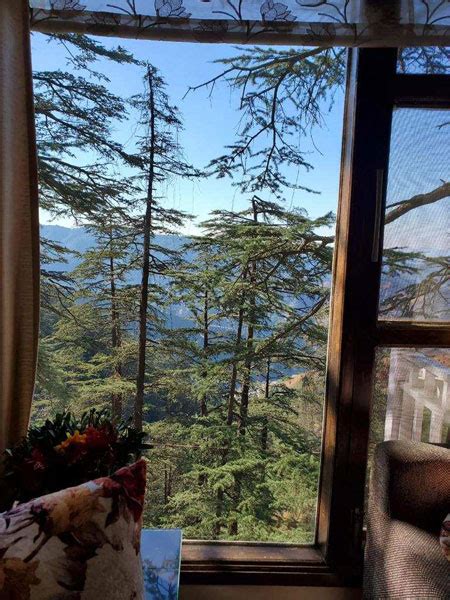 Bhk Apartment Sq Ft For Sale In Bharari Shimla Rei