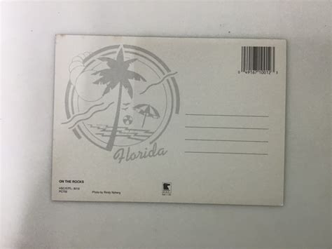 Vtg Risque Sexy Girl Bikini Postcard Florida On The Rocks Unposted