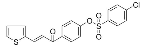 4 CHLORO BENZENESULFONIC ACID 4 3 THIOPHEN 2 YL ACRYLOYL PHENYL ESTER