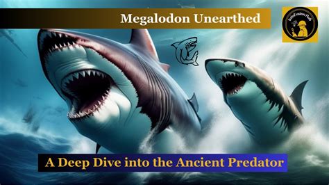 Megalodon Unearthed A Deep Dive Into The Ancient Predator Megalodon