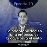 Portfolio Talks La Adaptabilidad En Una Empresa Es La Clave Para