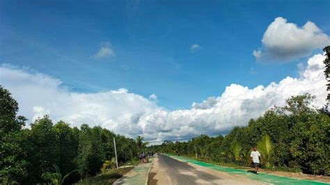 Wisata Papua Barat Daya Di Sorong Ada Hutan Mangrove Klawalu Dan Taman