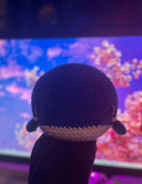 Chonky Whale Release Crochet Ribblr Community