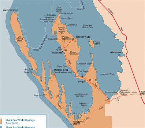 Shark Bay Denham And Carnarvon MARINE LIFE NETWORK