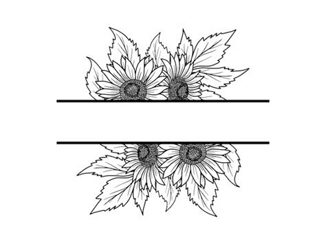 Sunflower Divider Vectors And Illustrations For Free Download