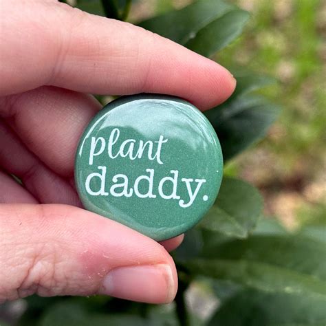 Plant Daddy Button Campfires And Coffee