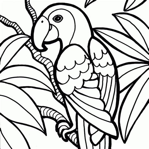 Coloriage Perroquet A Imprimer AZ Coloriage