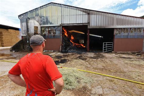 Photos Tallans un incendie ravage l étable d une ferme 20 vaches