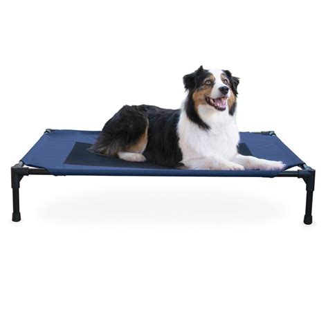 Elevated Dog Bed, Large - Jeffers