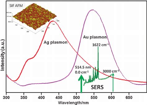 Surface Plasmon Extinction Spectra For Ag And Au Nanostructures