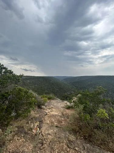 Best Hikes and Trails in Lost Maples State Natural Area | AllTrails