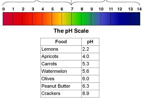 Ph scale Interactive Worksheet – Edform