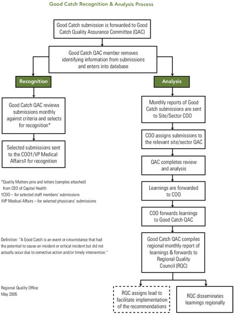 Overview of Good Catch program | Download Scientific Diagram