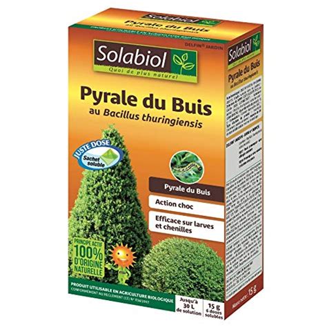 Pyrale Du Buis Identification Pr Vention Et Traitements Naturels