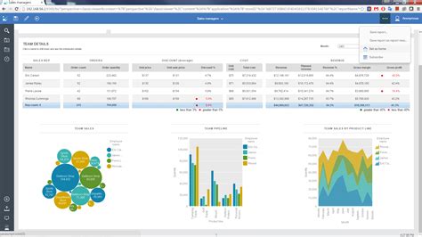 Ibm Cognos