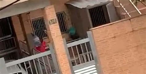 Idosa Dona De Cachorros Flagrada Espancando Animais Em Bairro