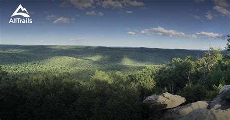 Best trails in Michaux State Forest , Pennsylvania | AllTrails