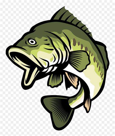 Free Largemouth Bass Clipart Bass Svg Free Svg Png Eps Dxf File