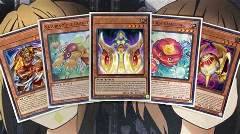 My Naturia Ishizu Yugioh Deck Profile For November 2022 YouTube