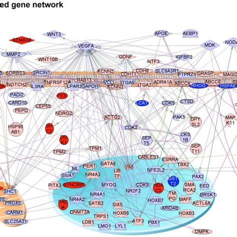 Differential Dna Methylated Region Dmr Cpg Density Distribution The