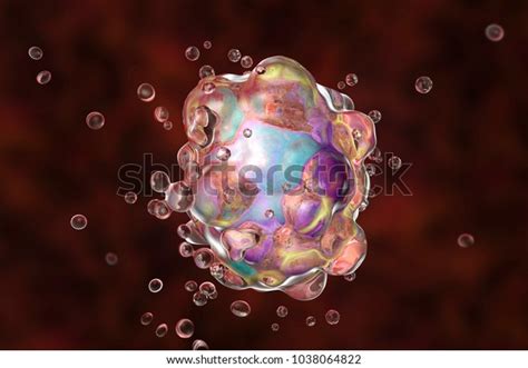 2 Intrinsic Apoptosis Images Stock Photos And Vectors Shutterstock