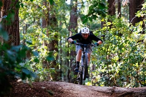 Top Mountain Biking Trails in Santa Cruz County - Visit Santa Cruz County