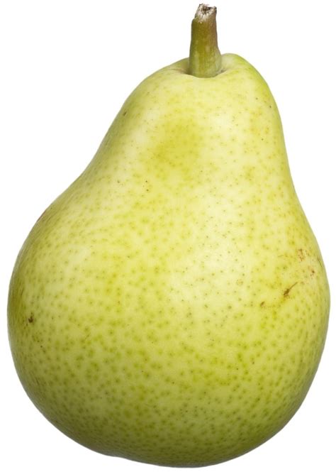 bartlett-pear-1269879_1920 - Cook County Whole Foods Coop