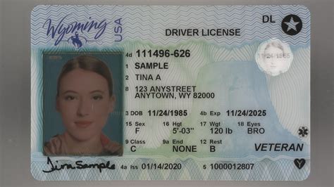 New Hampshire Fake Id Buy Scannable Fake Id Online Fake ID Website