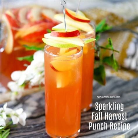 Sparkling Fall Harvest Punch Recipe