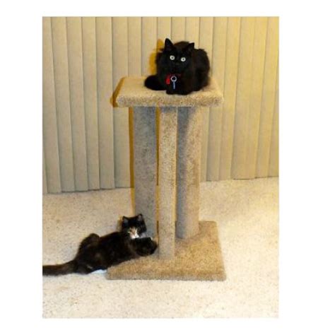 Triple Cat Scratching Post with Bed