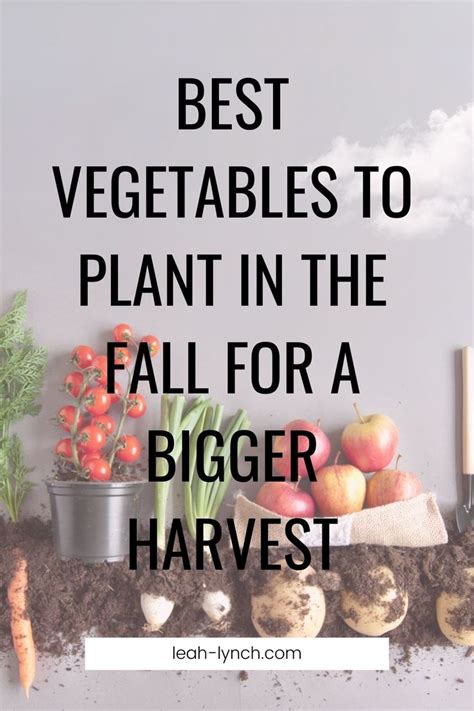 Best Vegetables To Plant In The Fall For A Bigger Harvest Fall Plants