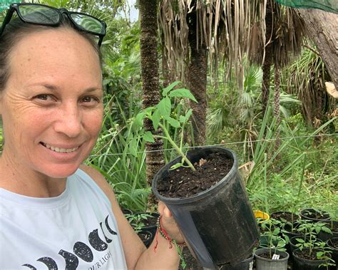 What Are the Best Veggies to Grow? - Off The Grind