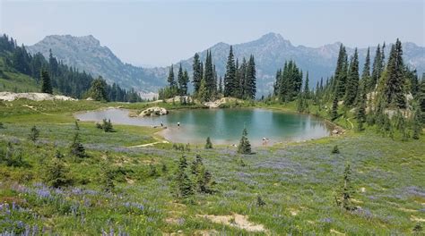 Naches, Washington Vacation Rentals: house rentals & more | Vrbo