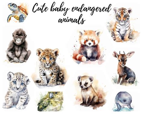 11 Endangered Species Baby Animals Watercolor Clipart, Jpegs, Digital ...