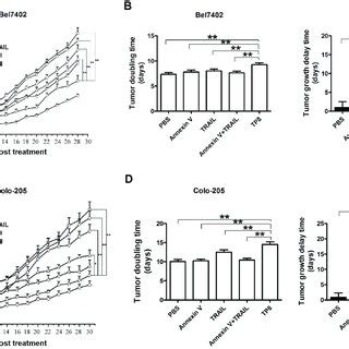 Evaluation Of Antitumor Effects Of TP8 In Nude Mice Bearing A549