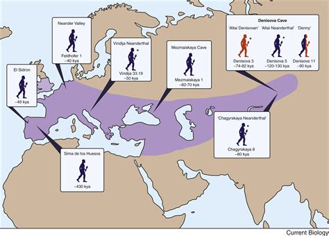 The Contribution Of Neanderthal Introgression To Modern Human Traits