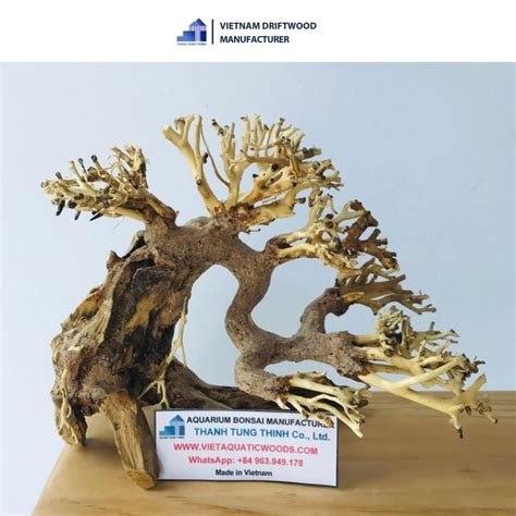 Supplier For Driftwood Bonsai For Fish Tank Decor Aquascape