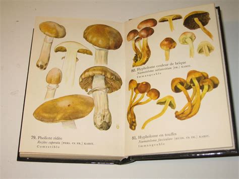 Nature Champignons Atlas Illustre Grund Planches Couleurs