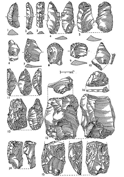 Mesolithic Stone Tools