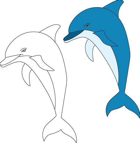 Dolphin Clipart Set. Colorful and Outline Dolphins 41950390 Vector Art ...