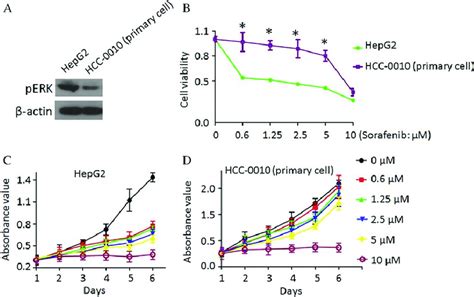 Effects Of Sorafenib On Cell Proliferation Differ Between Hepg Cells