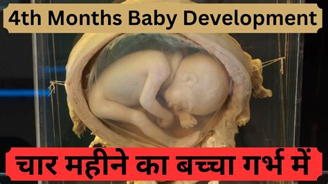 4 महन क बचच गरभ म कस हत ह 4th Month Pregnancy Baby