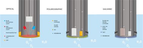 How To Measure Dissolved Oxygen Nexsens