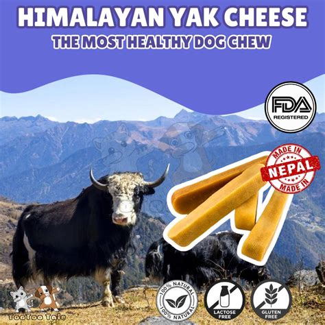 Himalayan Yak Cheese Dog Chew - TooToo Tale