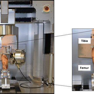 Image Of A Six Degree Of Freedom Robotic Testing System With A Cadaver