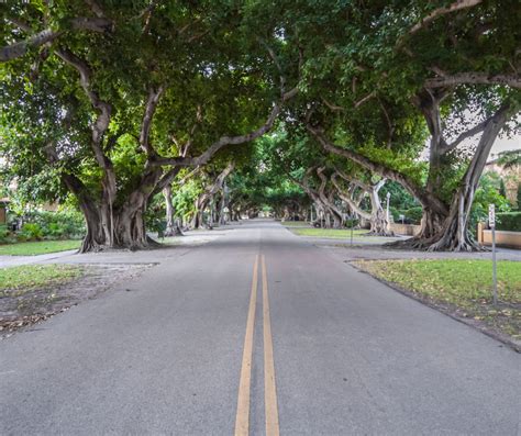 Coral Gables Top Miami Realtor Corinne Dodd