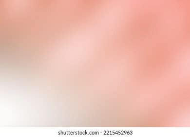 Nude Color Gradation Background Beige Pink Stock Vector Royalty Free Shutterstock