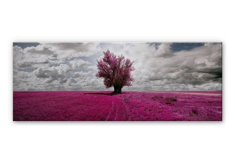 Tableau En Alu Dibond The Lonely Tree Panorama Wall Art Fr