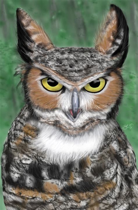 Great Horned Owl By Artbysabinae On Deviantart