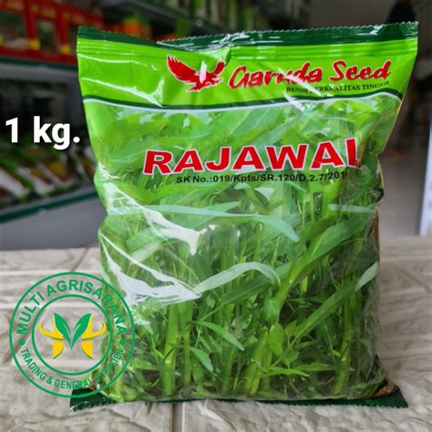 Jual Benih Kangkung Unggul Rajawali Gr Shopee Indonesia